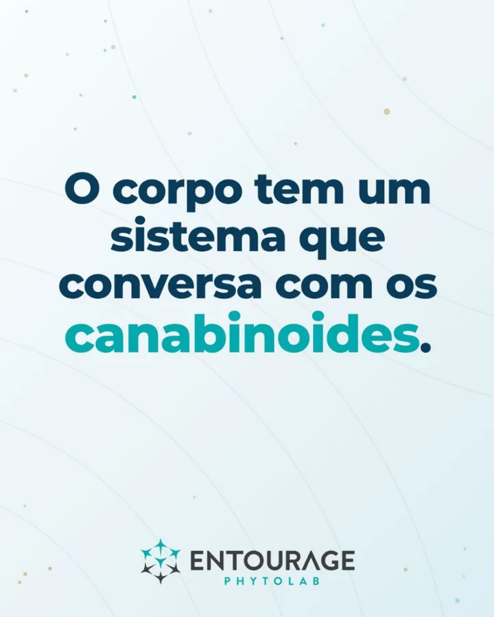 Capa: O corpo tem um sistema que conversa com os canabinoides.